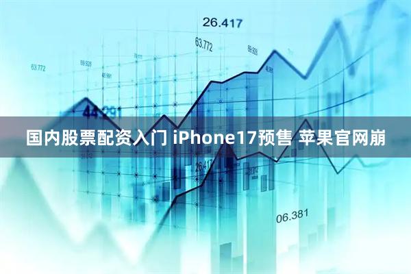 国内股票配资入门 iPhone17预售 苹果官网崩